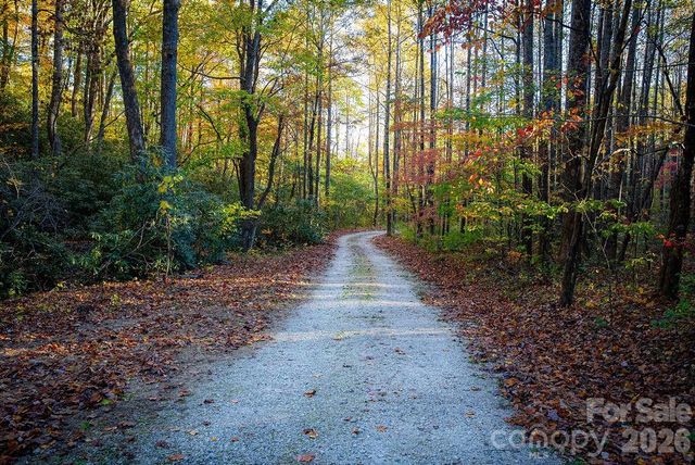 808 Mountain Cove Road, Hendersonville, NC 28792