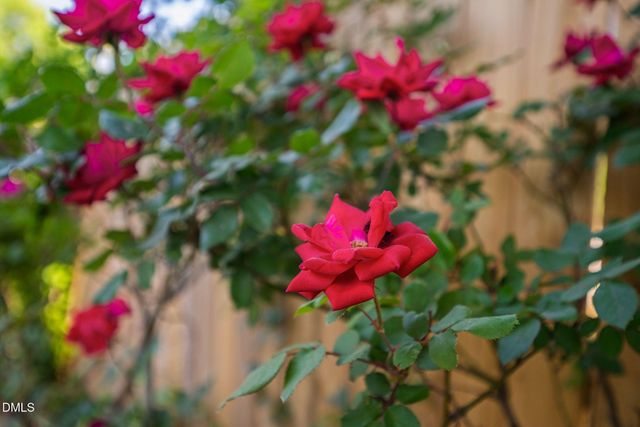 920 Laura Duncan Road, Apex, NC 27502