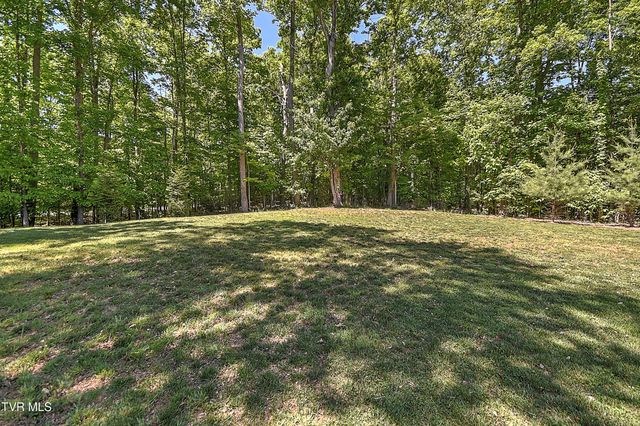 104 Lookout Court, Blountville, TN 37617