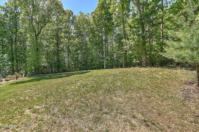 104 Lookout Court, Blountville, TN 37617