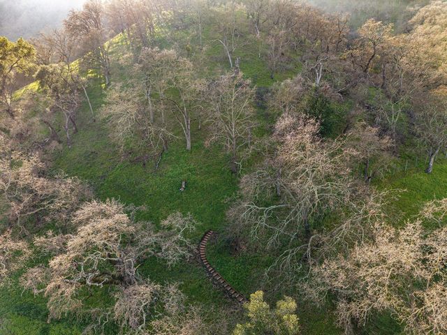 2435 Lunada, Alamo, CA 94507