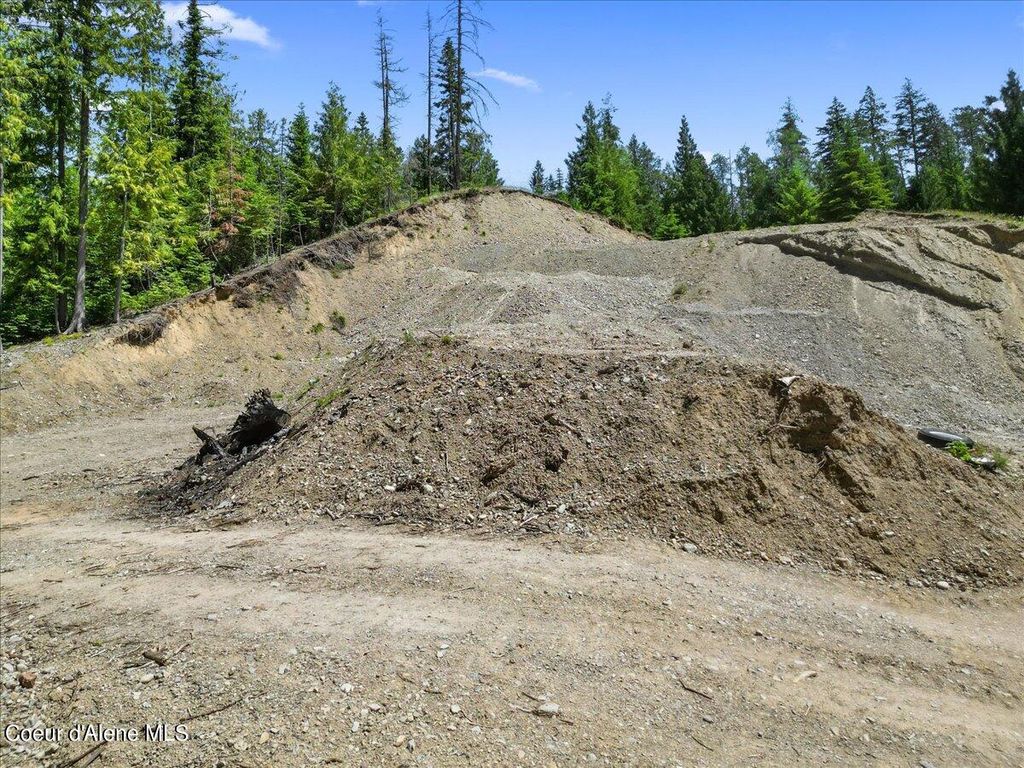 99 Big Burl, Sagle, ID 83860 photo 10