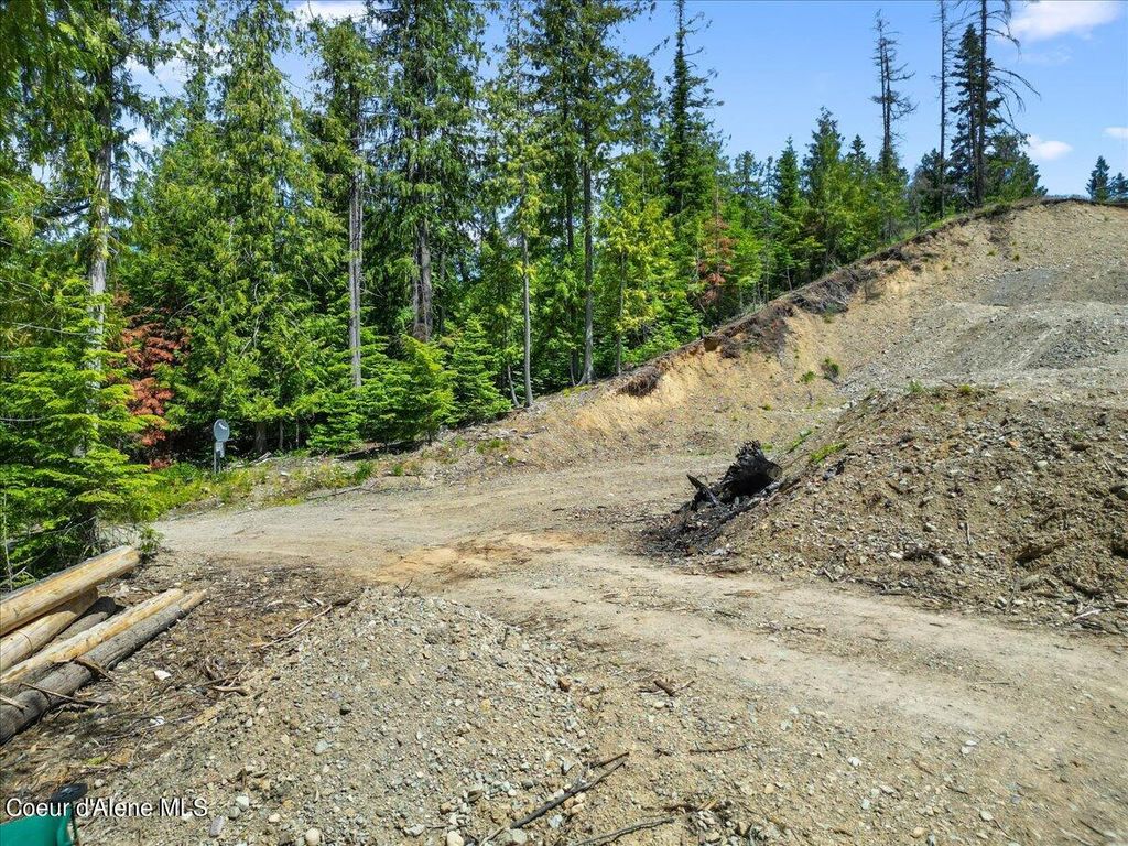 99 Big Burl, Sagle, ID 83860 photo 9