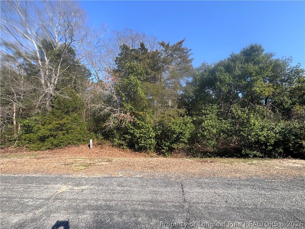 Mabry Road, Fayetteville, NC 28348 — photo 3