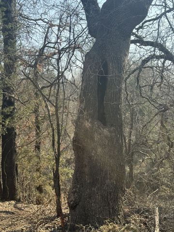 TBD Denver Road, Sunset, TX 76270