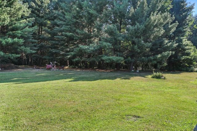8698 Big Stone Lake Road, Evart, MI 49631