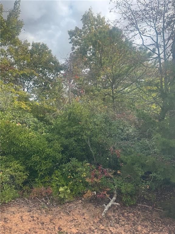 Lot 16 Brown Hawk Drive, Clayton, GA 30525