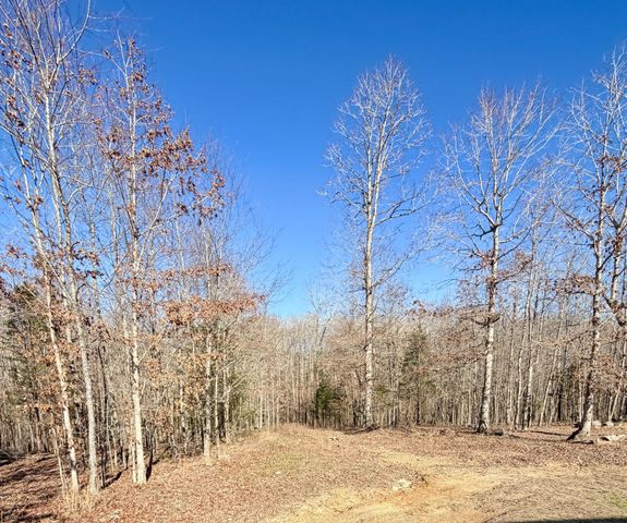 2901 Campground Hollow Road, Nunnelly, TN 37137