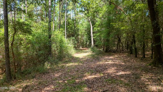 1730 Firetower Road, Chipley, FL 32428