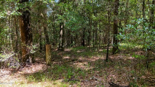 1730 Firetower Road, Chipley, FL 32428