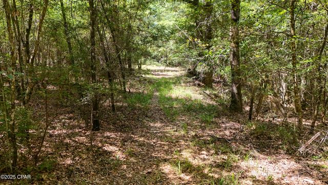1730 Firetower Road, Chipley, FL 32428