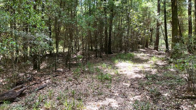 1730 Firetower Road, Chipley, FL 32428