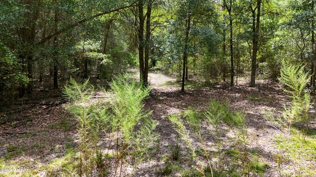 1730 Firetower Road, Chipley, FL 32428