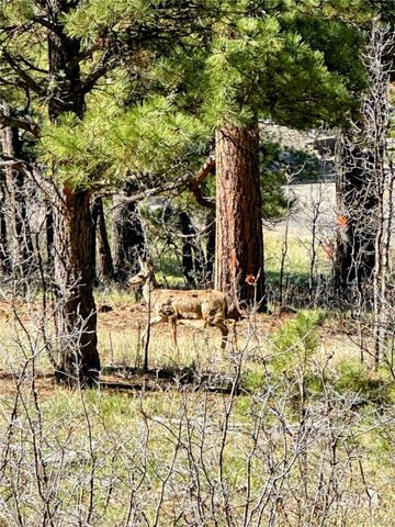 62 Masters Circle, Pagosa Springs, CO 81147