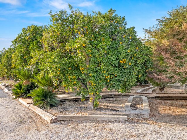 16787 Paula Road, Madera, CA 93636