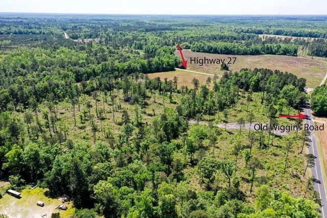 00 Old Gilliard Rd, Ridgeville, SC 29472