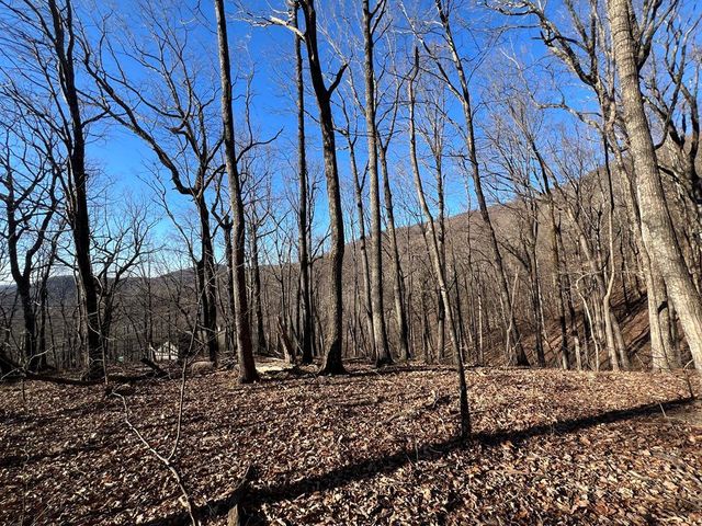 245 Sassafras Mountain Trail, Jasper, GA 30143