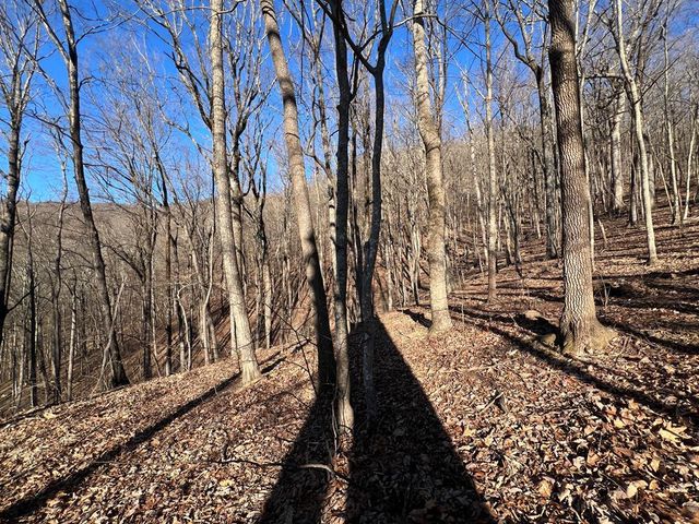 245 Sassafras Mountain Trail, Jasper, GA 30143