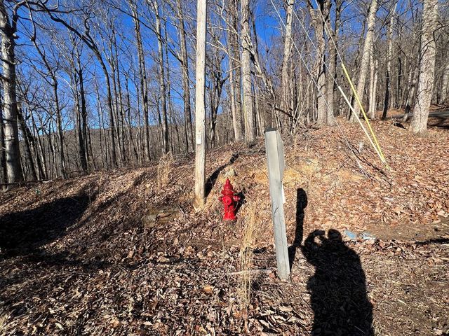 245 Sassafras Mountain Trail, Jasper, GA 30143