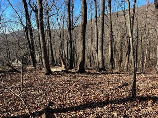 245 Sassafras Mountain Trail, Jasper, GA 30143