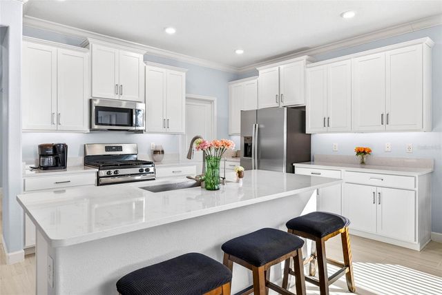 17245 STAR BANKS ST, Wimauma, FL 33598