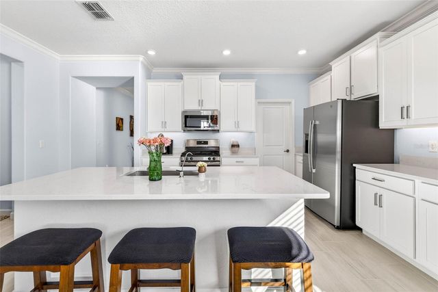 17245 STAR BANKS ST, Wimauma, FL 33598