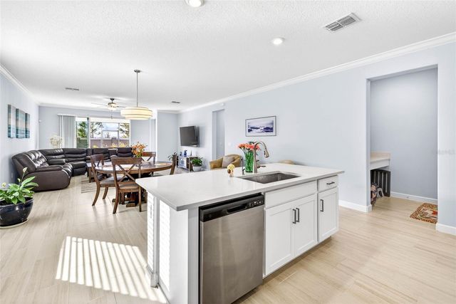 17245 STAR BANKS ST, Wimauma, FL 33598