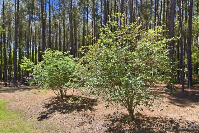 516 Flying Eagle Drive, Clover, SC 29710