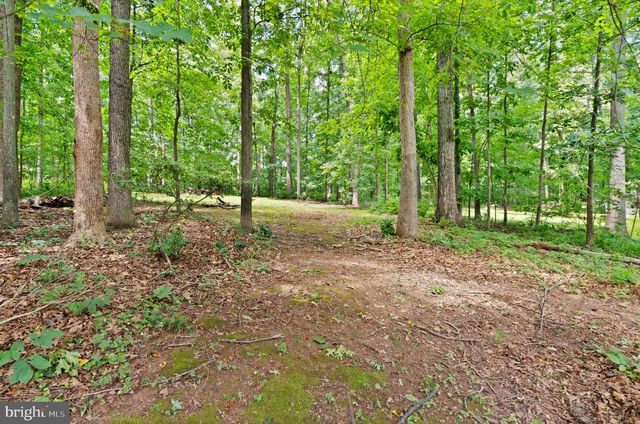 4560 LYNN FOREST DR, Gainesville, VA 20155