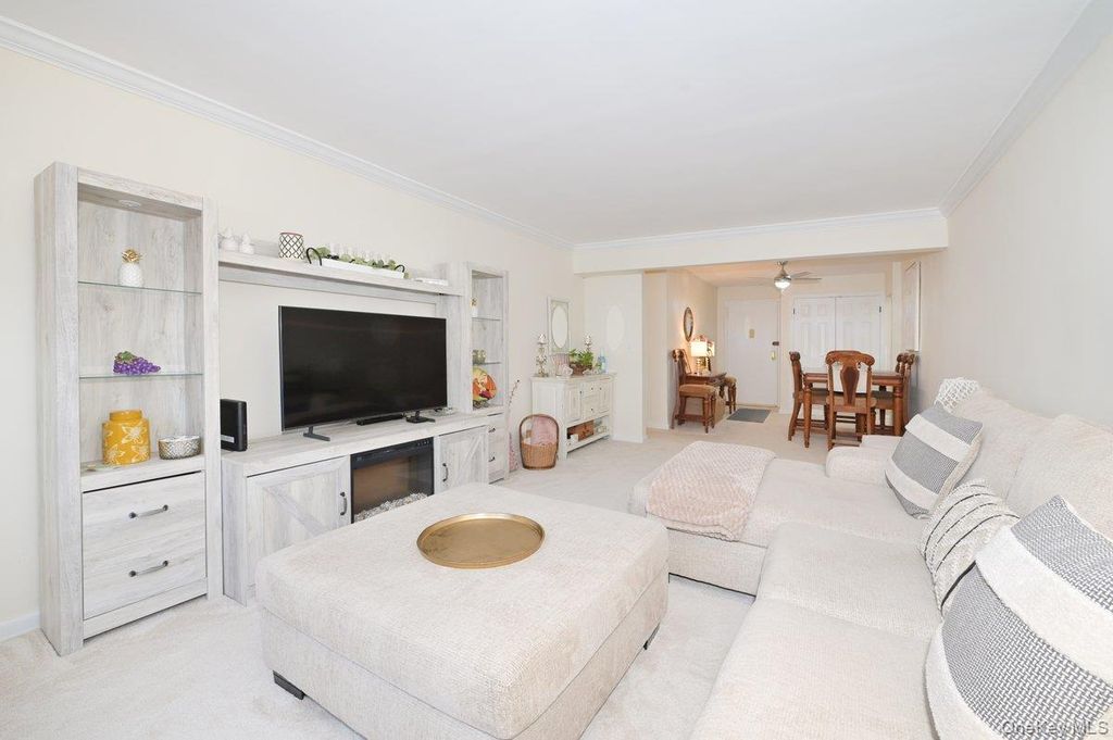 4 Birchwood Court #1O, Mineola, NY 11501 — exterior