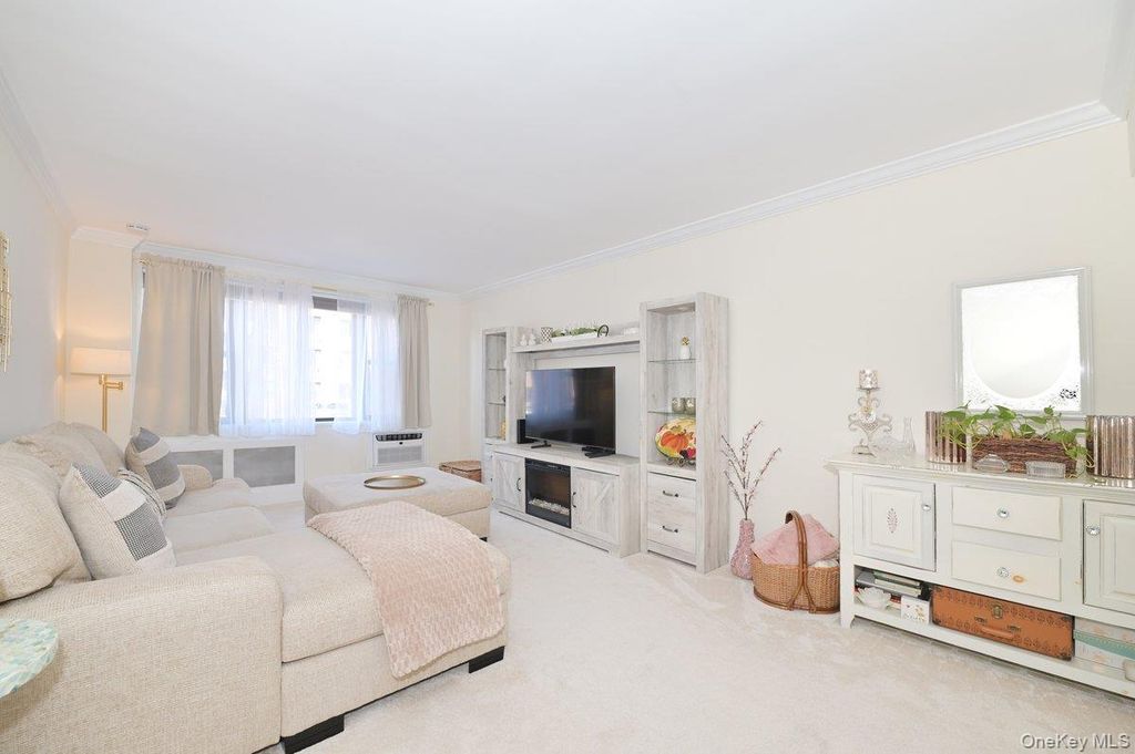 4 Birchwood Court #1O, Mineola, NY 11501 — photo 2