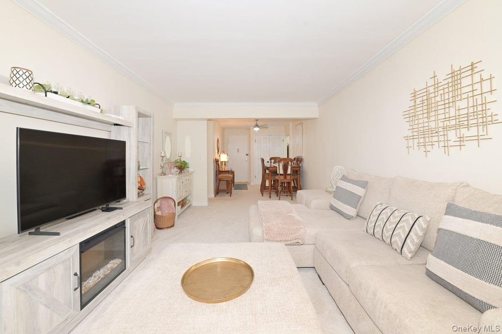 4 Birchwood Court #1O, Mineola, NY 11501 — photo 3