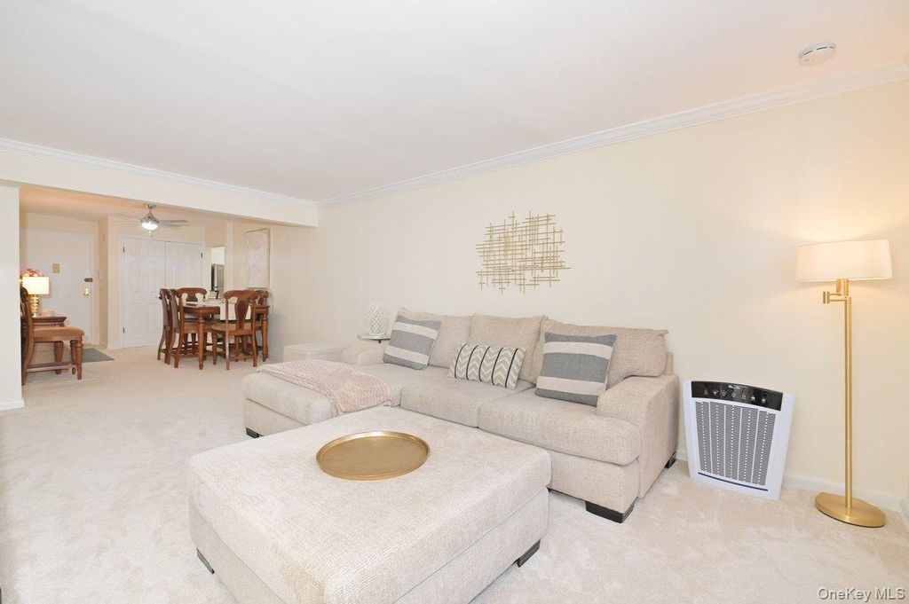 4 Birchwood Court #1O, Mineola, NY 11501 — photo 4