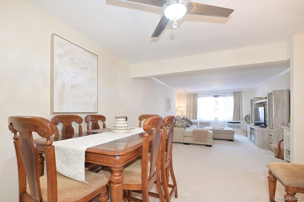 4 Birchwood Court #1O, Mineola, NY 11501 — photo 5