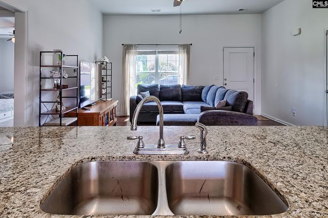 915 Dovefield Lane, Lexington, SC 29073