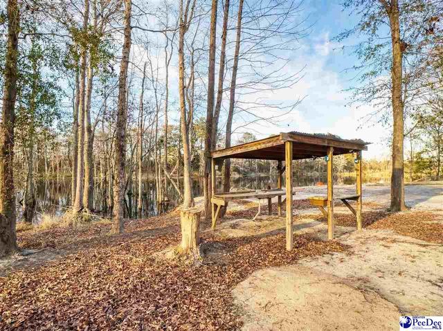 242 E Mciver Rd, Darlington, SC 29532