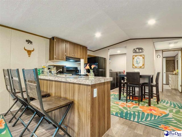 242 E Mciver Rd, Darlington, SC 29532