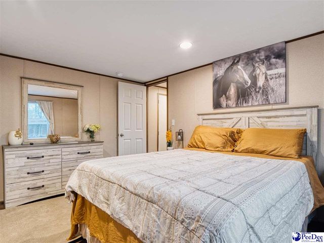 242 E Mciver Rd, Darlington, SC 29532