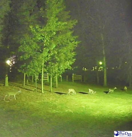 242 E Mciver Rd, Darlington, SC 29532