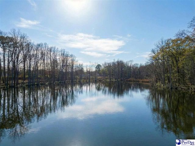 242 E Mciver Rd, Darlington, SC 29532