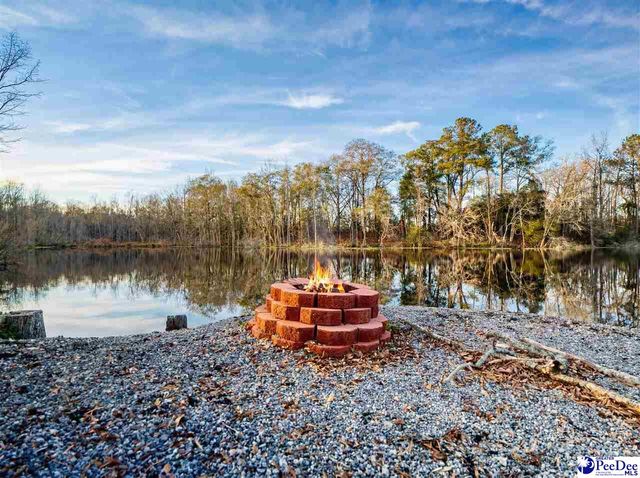 242 E Mciver Rd, Darlington, SC 29532