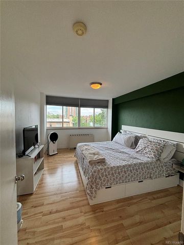 1196 N Grant Street 507, Denver, CO 80203