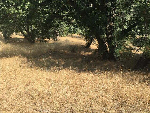 30481 Live Oak, Running Springs, CA 92382