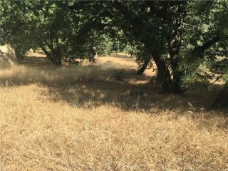 30481 Live Oak, Running Springs, CA 92382