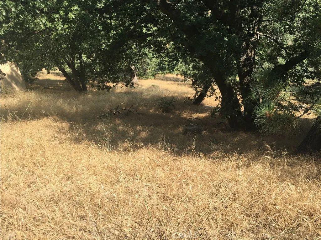 30481 Live Oak, Running Springs, CA 92382