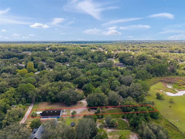 31128 LOCHMORE CIRCLE, Mount Plymouth, FL 32776