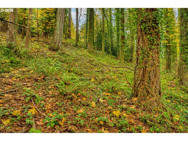 2964 MADRONA Dr, Longview, WA 98632