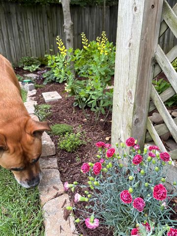 1857 Pensacola Drive, Lexington, KY 40503