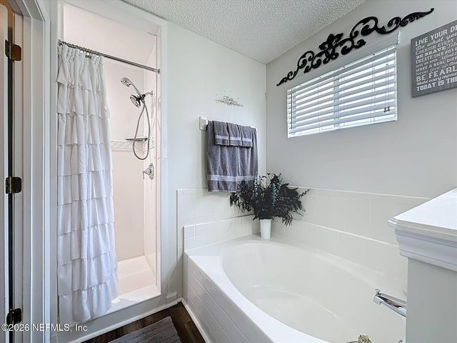 1190 SUMMER SPRINGS Drive, Middleburg, FL 32068