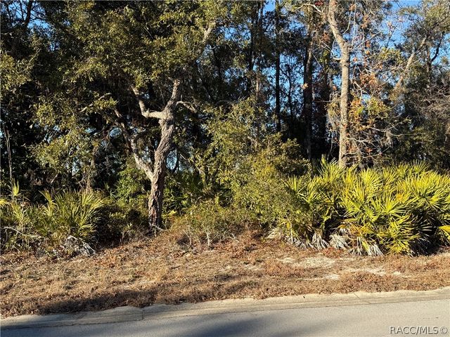 7023 W Merrivale Lane, Homosassa, FL 34446